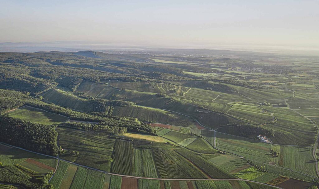 Altes Weingebirge