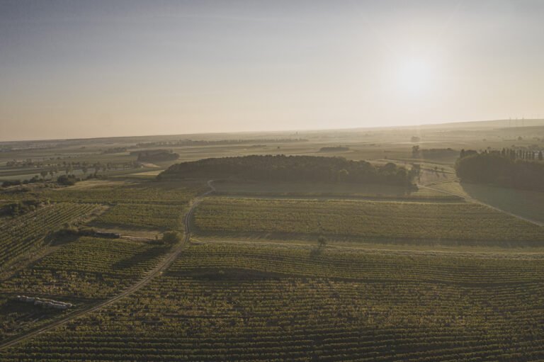 Weingut Wellanschitz - Rüsselgrund